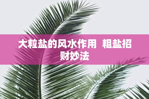 大粒盐的风水作用 粗盐招财妙法