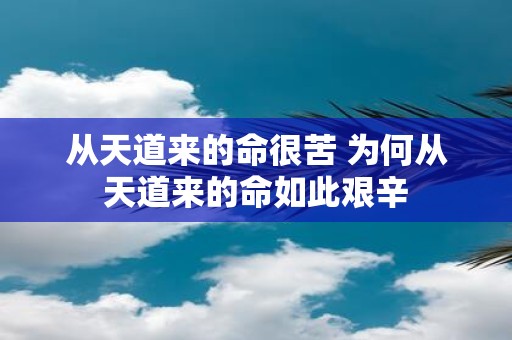 从天道来的命很苦 为何从天道来的命如此艰辛