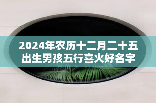 2025年农历十二月二十五出生男孩五行喜火好名字