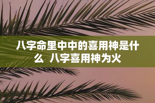 八字命里中中的喜用神是什么 八字喜用神为火