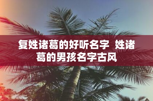 复姓诸葛的好听名字 姓诸葛的男孩名字古风