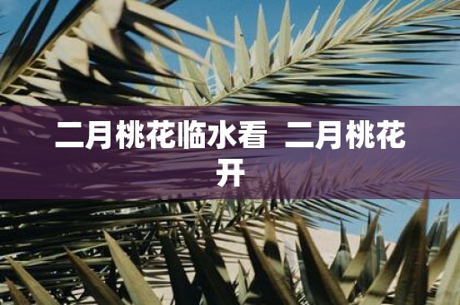 二月桃花临水看 二月桃花开