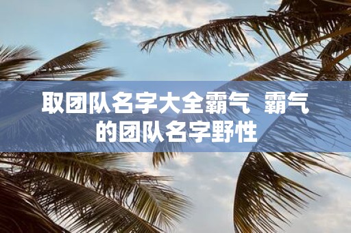 取团队名字大全霸气 霸气的团队名字野性