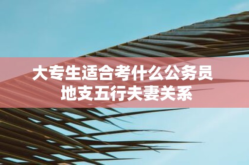 大专生适合考什么公务员 地支五行夫妻关系