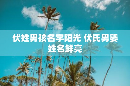 伏姓男孩名字阳光 伏氏男婴姓名鲜亮