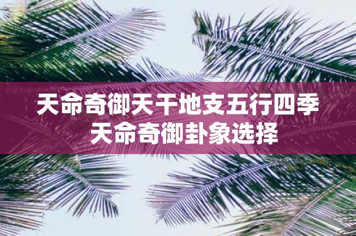 天命奇御天干地支五行四季 天命奇御卦象选择