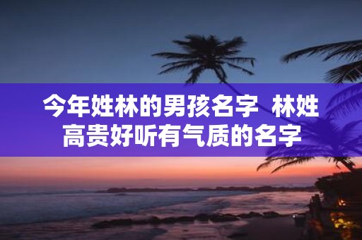 今年姓林的男孩名字 林姓高贵好听有气质的名字