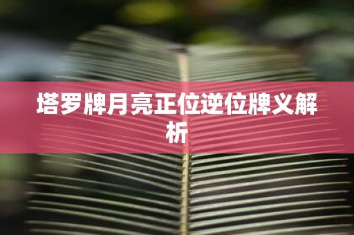 塔罗牌月亮正位逆位牌义解析