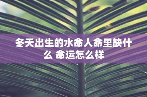 冬天出生的水命人命里缺什么 命运怎么样