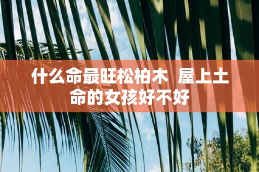 什么命最旺松柏木 屋上土命的女孩好不好