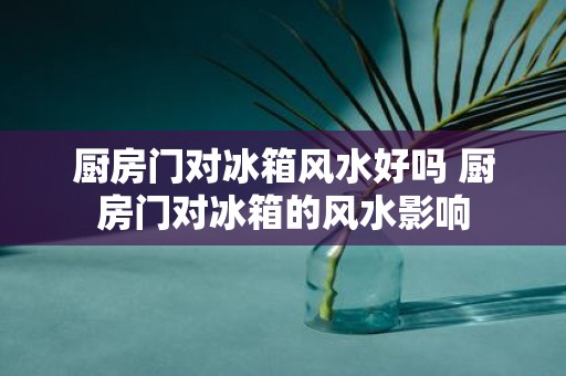 厨房门对冰箱风水好吗 厨房门对冰箱的风水影响