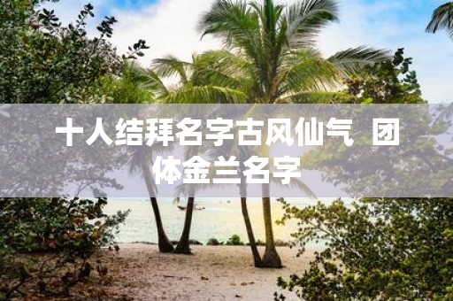 十人结拜名字古风仙气 团体金兰名字