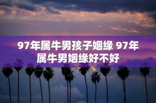 97年属牛男孩子姻缘 97年属牛男姻缘好不好
