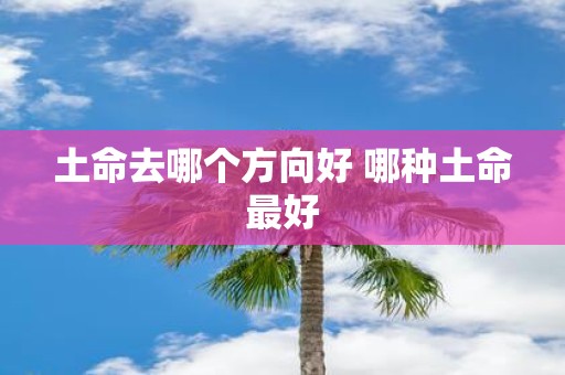 土命去哪个方向好 哪种土命最好