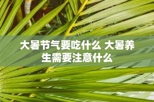 大暑节气要吃什么 大暑养生需要注意什么