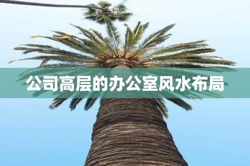 公司高层的办公室风水布局