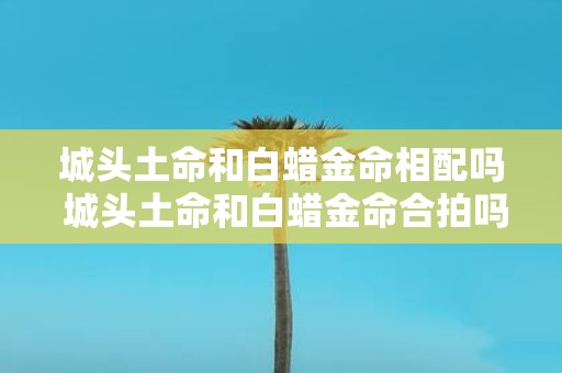 城头土命和白蜡金命相配吗 城头土命和白蜡金命合拍吗