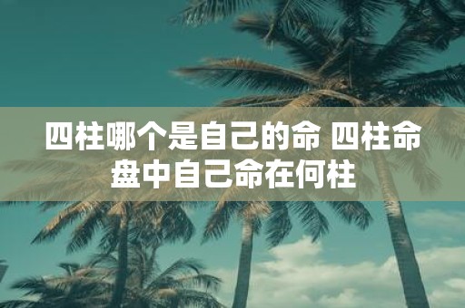 四柱哪个是自己的命 四柱命盘中自己命在何柱