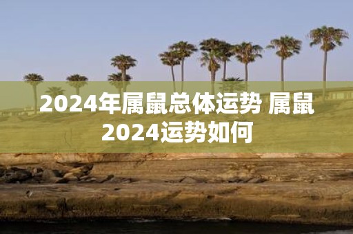 2025年属鼠总体运势 属鼠2025运势如何