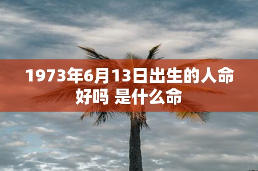 1973年6月13日出生的人命好吗 是什么命