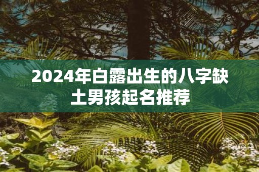 2025年白露出生的八字缺土男孩起名推荐