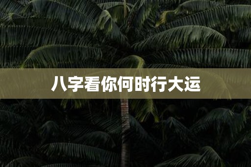 八字看你何时行大运