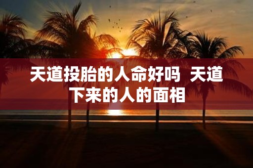 天道投胎的人命好吗 天道下来的人的面相