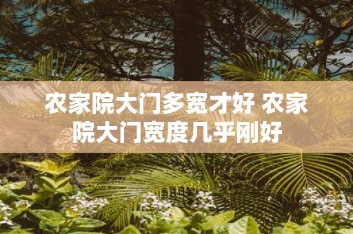 农家院大门多宽才好 农家院大门宽度几乎刚好