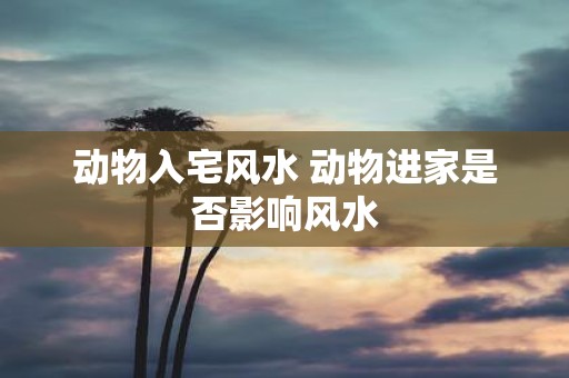 动物入宅风水 动物进家是否影响风水