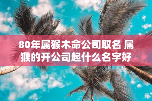 80年属猴木命公司取名 属猴的开公司起什么名字好