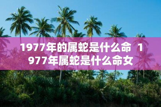 1977年的属蛇是什么命 1977年属蛇是什么命女