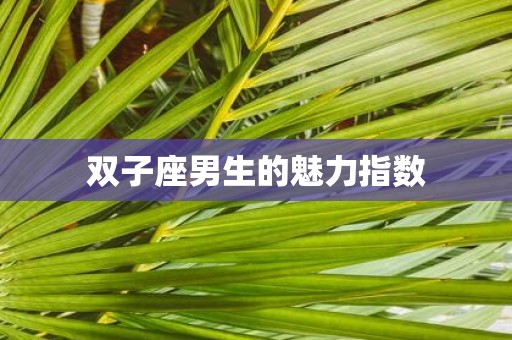 双子座男生的魅力指数