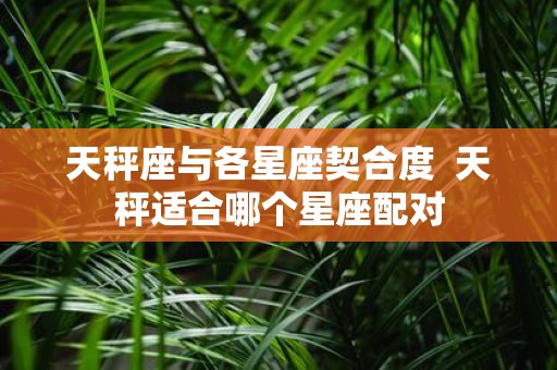 天秤座与各星座契合度 天秤适合哪个星座配对