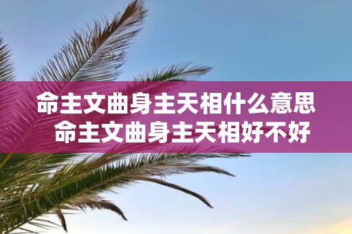 命主文曲身主天相什么意思 命主文曲身主天相好不好