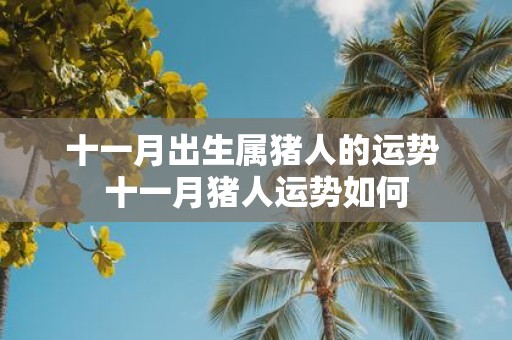 十一月出生属猪人的运势 十一月猪人运势如何