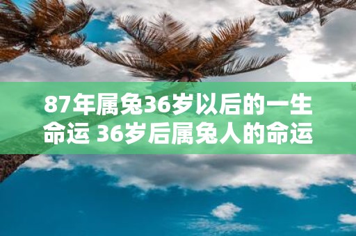 87年属兔36岁以后的一生命运 36岁后属兔人的命运如何