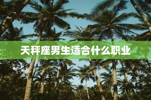 天秤座男生适合什么职业