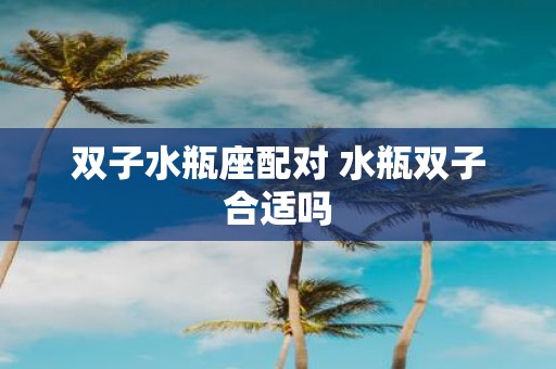 双子水瓶座配对 水瓶双子合适吗