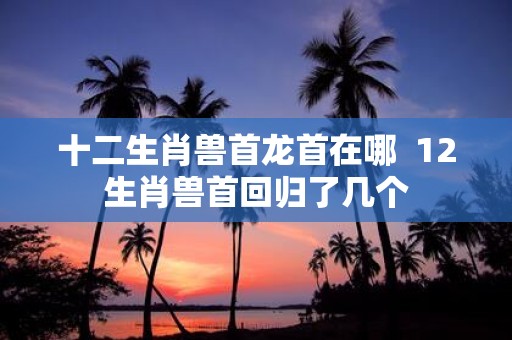 十二生肖兽首龙首在哪 12生肖兽首回归了几个