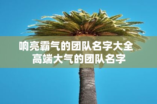 响亮霸气的团队名字大全 高端大气的团队名字