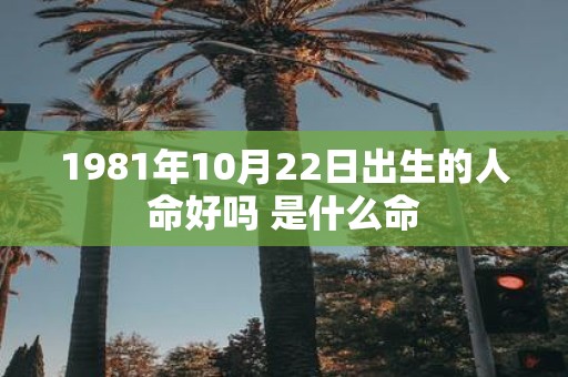 1981年10月22日出生的人命好吗 是什么命