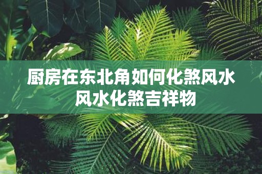 厨房在东北角如何化煞风水 风水化煞吉祥物
