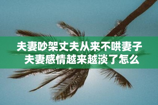 夫妻吵架丈夫从来不哄妻子 夫妻感情越来越淡了怎么办