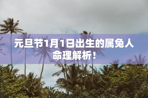 元旦节1月1日出生的属兔人命理解析！