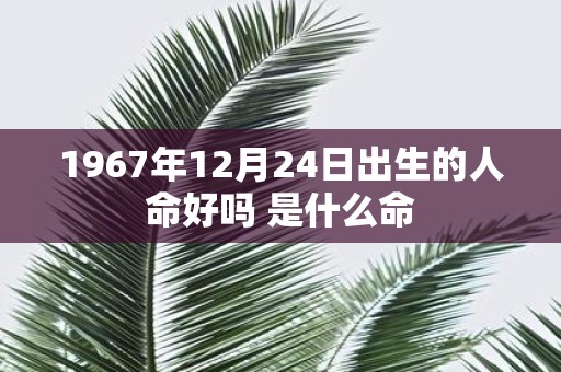 1967年12月24日出生的人命好吗 是什么命