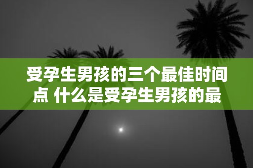 受孕生男孩的三个最佳时间点 什么是受孕生男孩的最佳时间