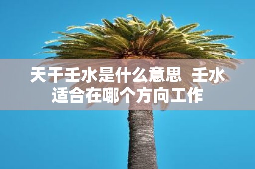 天干壬水是什么意思 壬水适合在哪个方向工作