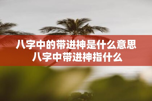 八字中的带进神是什么意思 八字中带进神指什么