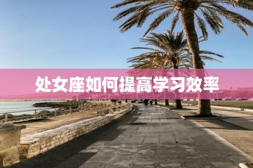 处女座如何提高学习效率