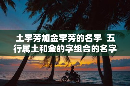 土字旁加金字旁的名字 五行属土和金的字组合的名字